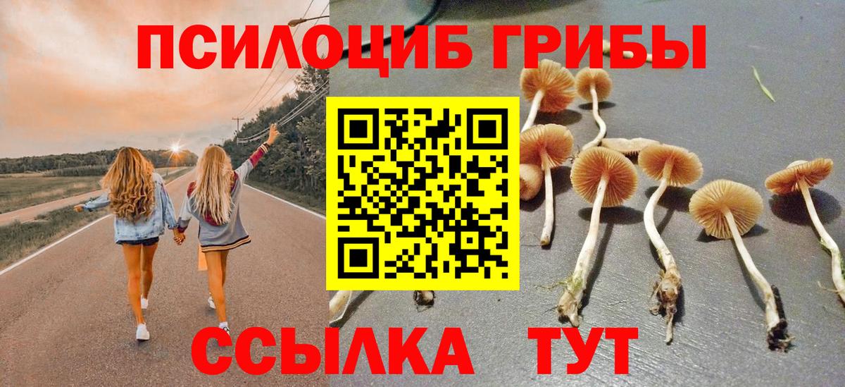 купить   Вход с VPN  Янаул  Псилоцибиновые грибы Cubensis 