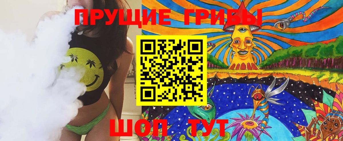 Псилоцибиновые грибы Cubensis Янаул